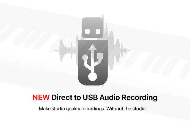 USB Audio recorder